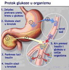 Kutak za dijabetičare